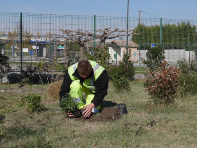 Agent d'entretien espace vert